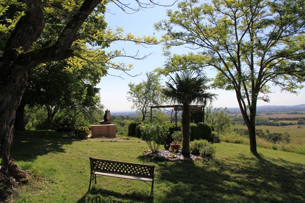 Bed and Breakfast La Pigario Lisle-sur-Tarn Exteriér fotografie