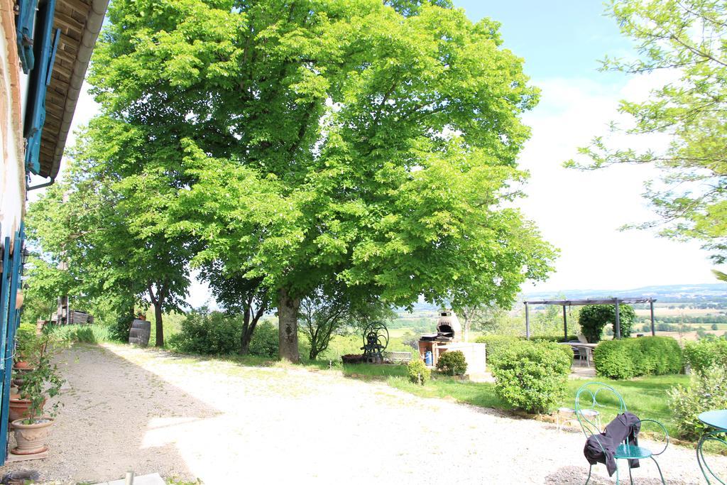 Bed and Breakfast La Pigario Lisle-sur-Tarn Exteriér fotografie
